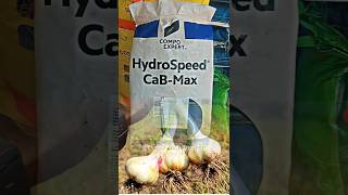 Compo Expert Hydrospeed Cab Max Calcium Nitrate