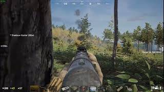 Deadside Bug