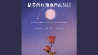 枯萎的玫瑰也曾绽放过