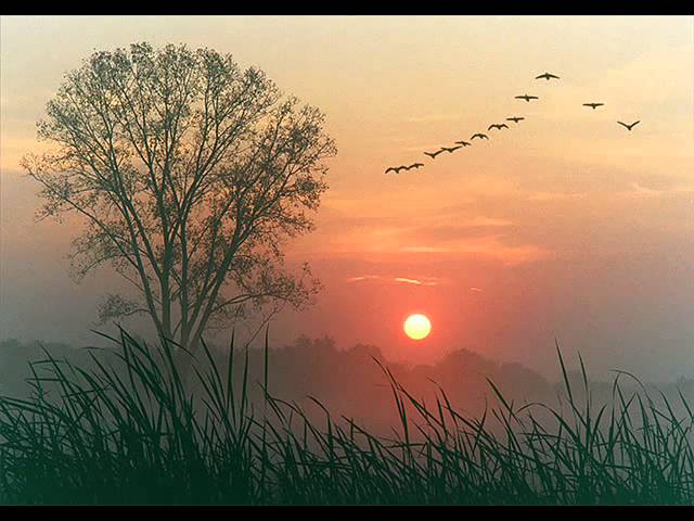 Mira Serendipitous Segment - Esker Sessions en YouTube Mira Serendipitous Segment - Esker Sessions en YouTube