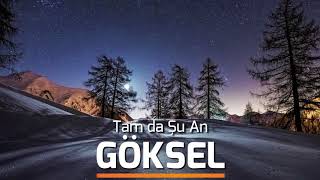 göksel | tam da şu an Resimi