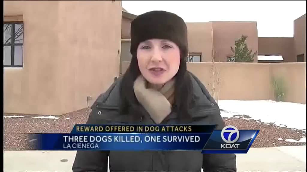Reward For Capture Of Dog Shooter