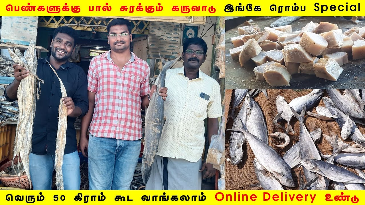 உலகத்துக்கே ஏற்றுமதி செய்யப்படும் Export Quality Dry Fish From