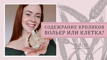 ВЛОГ. СОДЕРЖАНИЕ КРОЛИКОВ. ВОЛЬЕР ИЛИ КЛЕТКА?