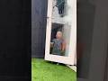 Funniest Kids Hiding Fails 😂 #humor