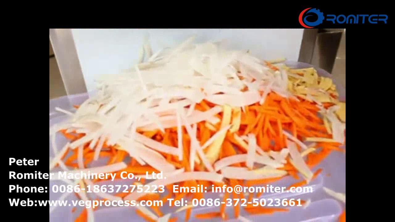 Multi Functional Vegetable Cutting Machine Testing for Potato and ...