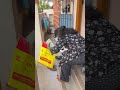 Ruth and Ria Galatta - 5 #tamilshorts #familyvlog #funnyvideo #tamilcomedy #supportmychannel