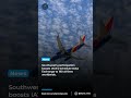 Southwest Airlines Joins IATA’s Global Schedule Data Exchange