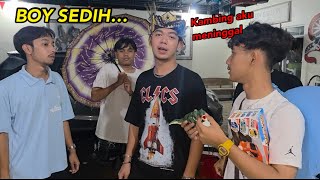 Download Lagu BOY SEDIH..KAMBINGNYA MENINGGAL MP3