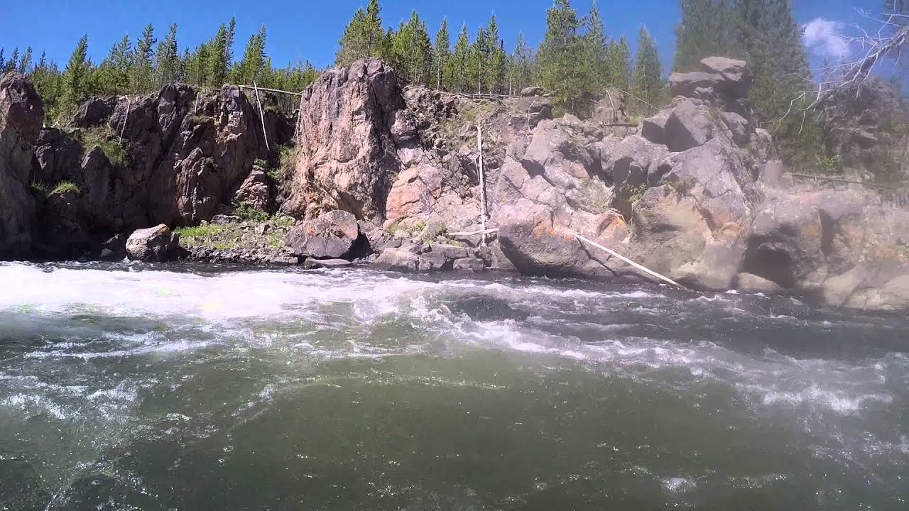 Swimming in Yellowstone with P.C. and family YouTube
