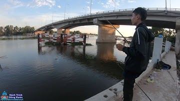 Câu Ổ Cá Trê Dưới Chân Cầu Phú Cường Go Fishing