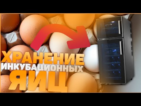 ХРАНЕНИЕ инкубационного яйца, как долго и как правильно?