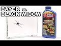 Spiders Vs  Bayer Advanced Power Force Multi Insect Killer