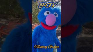 POV Grover Meet and Greet at Sesame Place Philadelphia #grover #sesameplace #muppets