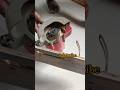 Cutter machine cutting blade changingwoodworkingfurniturewoodwork
