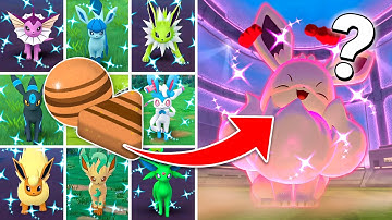 Watch This BEFORE Eevee Community Day!