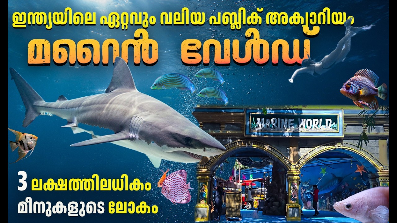Marine world chavakkad | Marine World Chavakkad Details | India's Largest Public Aquarium | Fishing