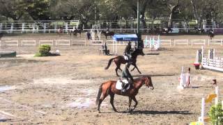 Solaguayre Arequito  con Gonzalo Sanchez, 10/9/2015, CAE Serie I prueba 4 1,05mts