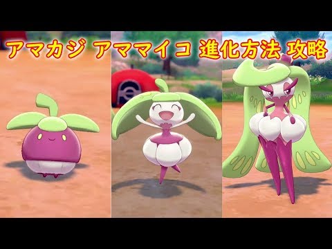 ソードシールド アママイコの種族値 わざ 特性など能力と入手方法 ポケモン剣盾 攻略大百科