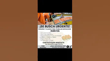 Vacantes Para Trabajar Desde Casa Empacar Huevos Empleo Convocatorias Empleos Trabajos 