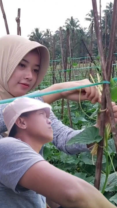 Kau bukan milikku lagi #shortvideo #duet #lagudangdutlawasoriginal #lipsing #fypshorts