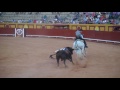 Corrida de toros los matadores sergio galn leonardo hernndez y andrs romeroalgeciras 2562017