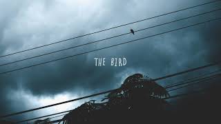 SYML - The Bird