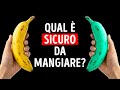 22 Frutti Stravaganti che Non Hai Mai Visto Prima