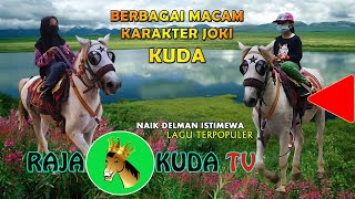 WAH TV ~ Berbagai Macam Karakter Joki Kuda Delman