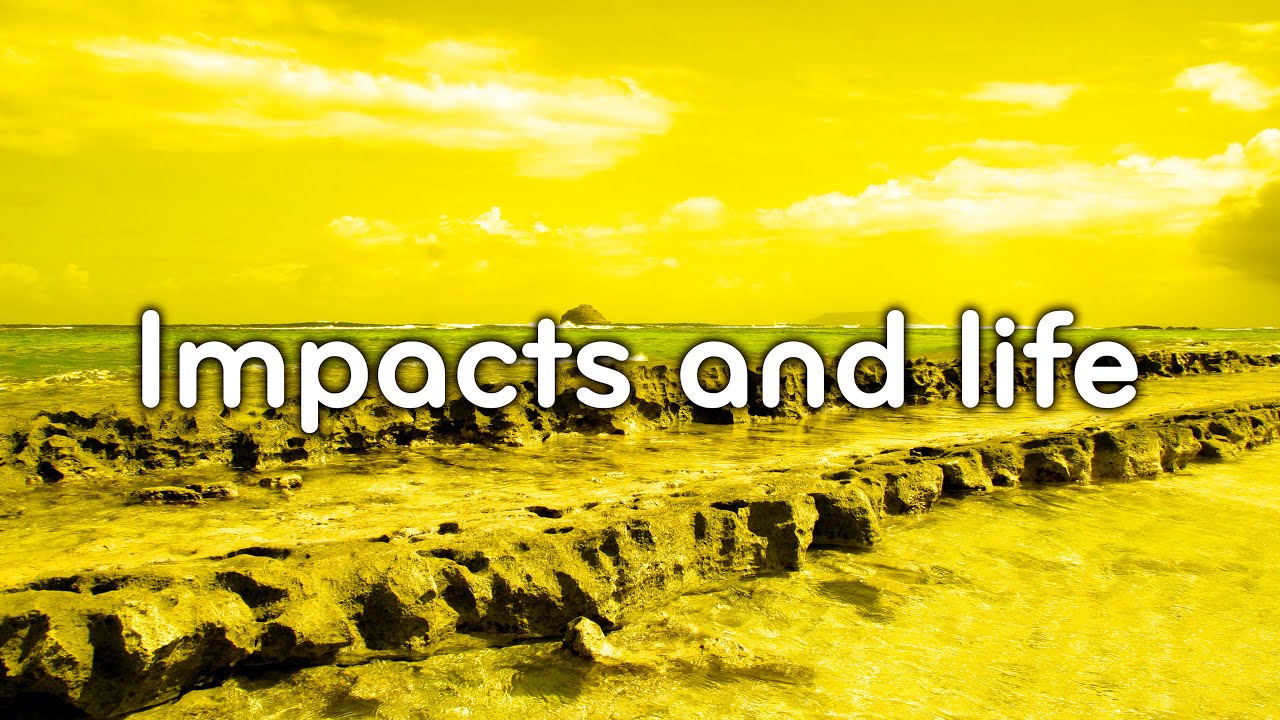 Impacts and their consequences for life | Anna Losiak | Geologist