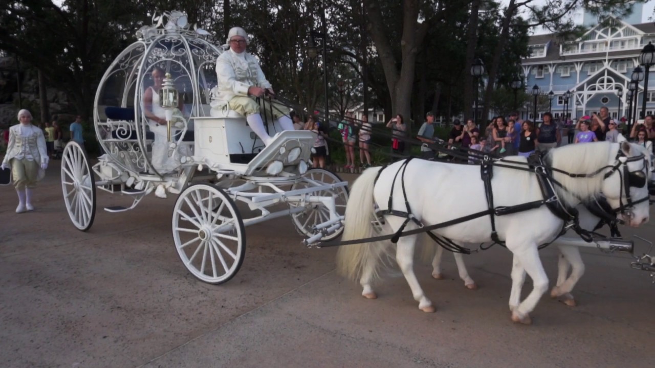 Disney Shipwreck Beach Wedding