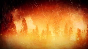 Paradise In Exile - PRECEDENCE (OFFICIAL LYRIC VIDEO)