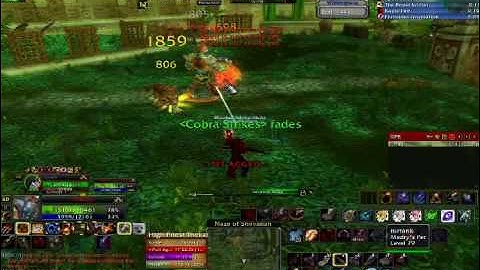 Soloing high priest thekal (ZG tiger boss)