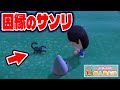 【あつ森】因縁の宿敵サソリを今度こそ捕まえてやんよ！！！！！【あつまれどうぶつの森#99】
