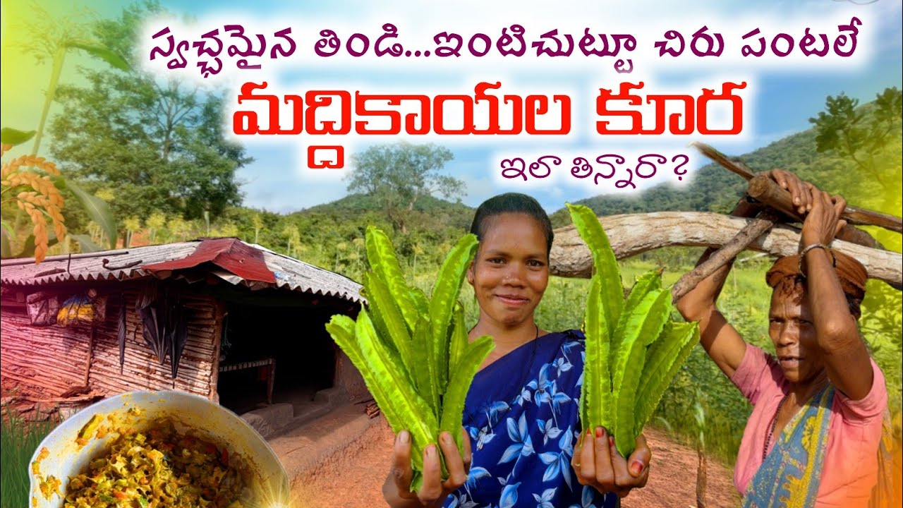కనుమరుగైన  చిరుపంటలు ఈ కొండగ్రామంలో  చూడవచ్చు💥Organic Food ||మద్దికాయలకూర తిన్నారా! @TribalMirror