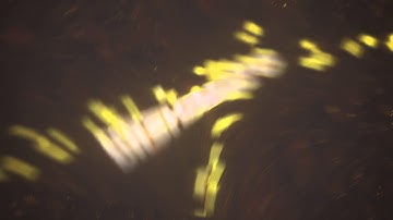 DrShimato Intro [V3] || By OrangeFX