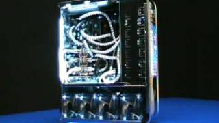 Dream Pcs 2008 Scan Great White