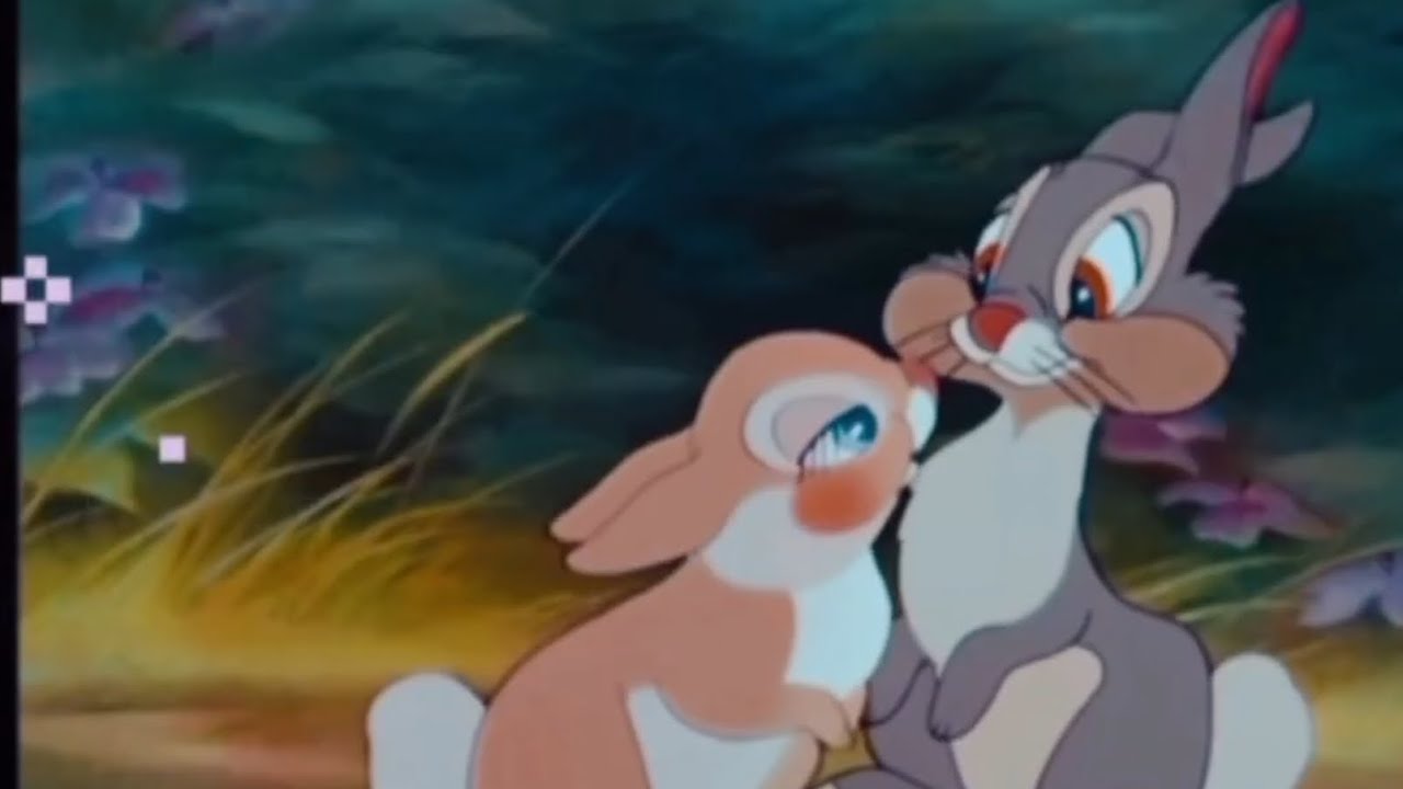 Bless the Broken Road | A Love Story AMV (Robin Hood, Bambi & More)