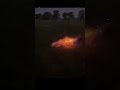 #viral #trending #funny