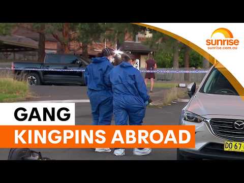 Calls to fast-track red notices for exiled gang bosses | Sunrise