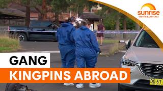 Calls to fast-track red notices for exiled gang bosses | Sunrise