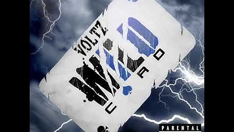 VOLTZ - WILDCARD