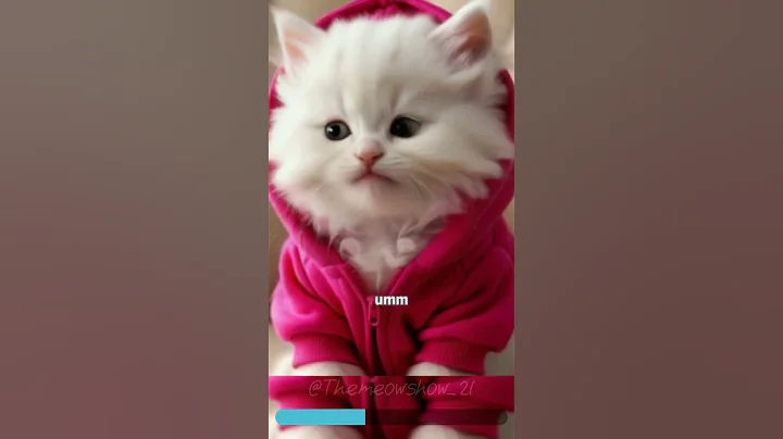 Watch the video about Meow 😽|| The meow show #cats #meow #cute #funny #shorts