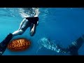 Swimming With The World&#39;s BIGGEST FISH | River Monsters