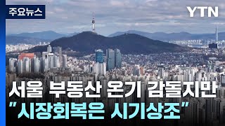 서울 부동산 온기 감돌지만 &quot;회복 판단은 일러&quot; / YTN