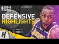 LeBron James Defensive Highlights from 2018-19 NBA Season! Lakers Compilation!