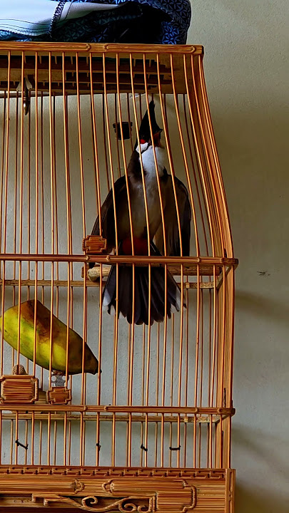 Cb Nhị Cuốc