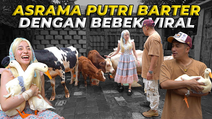 REAKSI FELICIWA DAN CIMI KETEMU SELURUH HEWAN DEHAKIMS