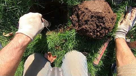 LIVE DIG ACTION!! Poking around in the relic dump with the XP Deus 2.