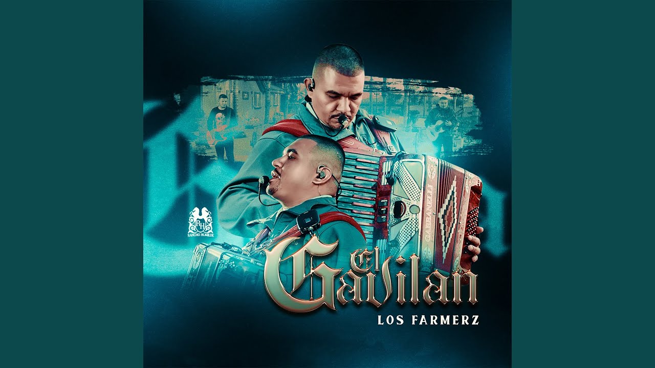El Gavilan